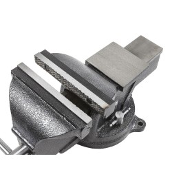 Professionele bankschroef 200 mm. draaibare uitvoering met aambeeld