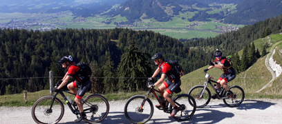 cat_175_69bd054875d92.png cat_175_69bd054875d92.png